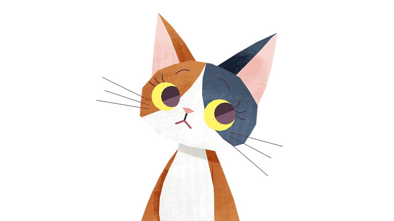 三毛猫